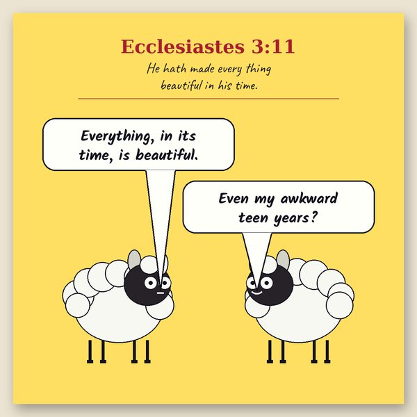 Beautiful in Its Time