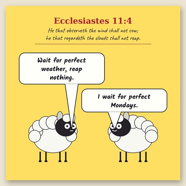 Don't Wait on the Wind