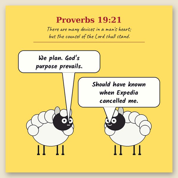 Our Plans, His Purpose